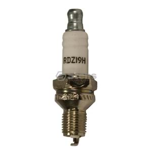 CHAMPION RDZ19H